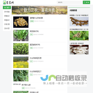 若农网 - 助力三农，富农兴农