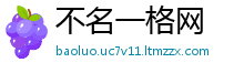 不名一格网